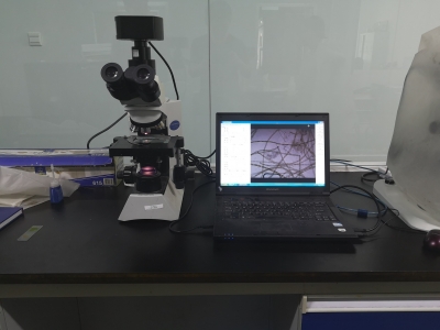 微生物圖文報告系統