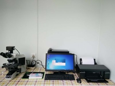 血液形態(tài)檢查圖文報告系統